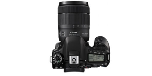 ⁦CANON EOS 80D + 18-135mm מצלמה⁩ – תמונה ⁦5⁩