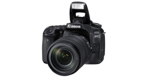 ⁦CANON EOS 80D + 18-135mm מצלמה⁩ – תמונה ⁦2⁩