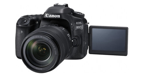 ⁦CANON EOS 80D + 18-135mm מצלמה⁩ – תמונה ⁦6⁩