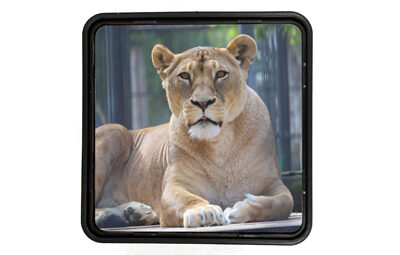 רמקול בלוטוס עם תמונה מוארת + הדפסה על המוצר